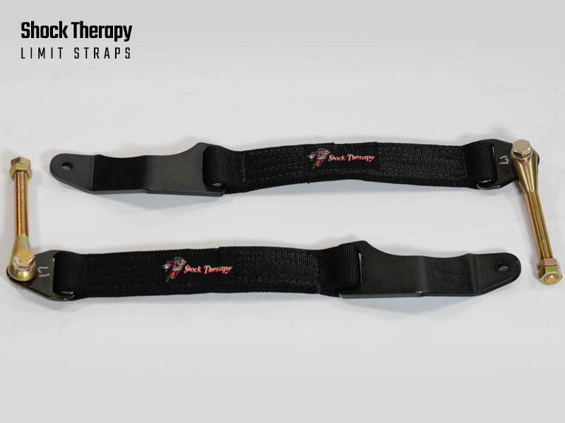 Shock Therapy Limit Straps (straps only)
